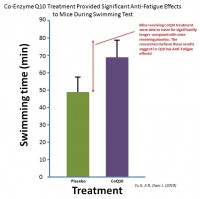 [SOLD OUT] Vision Sparkle