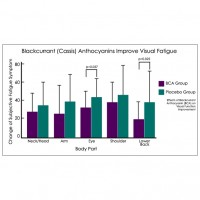 [SOLD OUT] Vision Sparkle