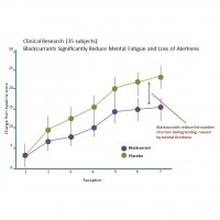 [SOLD OUT] Vision Sparkle