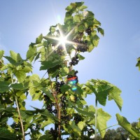 [SOLD OUT] 키즈비전스마트